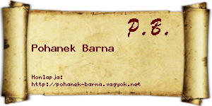 Pohanek Barna névjegykártya